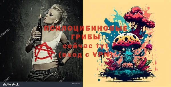 mdpv Горняк